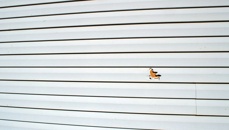 Vinyl Siding Repair Installation - Image 1